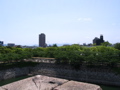 STE_0926.JPG