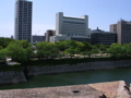 STG_0928.JPG