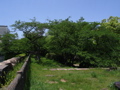 STJ_0931.JPG