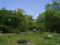 STK_0932.JPG