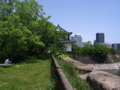 STM_0934.JPG