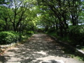 STB_0936.JPG