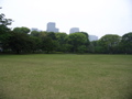 STK_0630.JPG