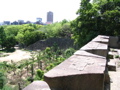 STB_0939.JPG