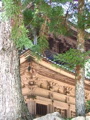 IMG_0997.JPG
