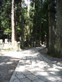 IMG_1035.JPG