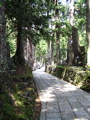 IMG_1041.JPG