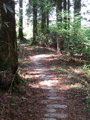 IMG_1052.JPG