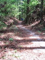 IMG_1053.JPG