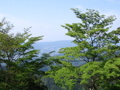 IMG_1069.JPG