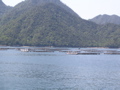 IMG_1099.JPG