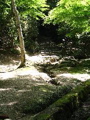 IMG_1143.JPG