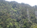IMG_1151.JPG
