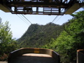 IMG_1156.JPG
