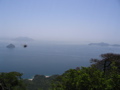 IMG_1167.JPG
