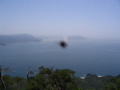 IMG_1168.JPG
