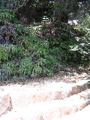IMG_1179.JPG