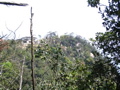 IMG_1180.JPG