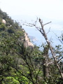 IMG_1181.JPG