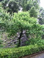 IMG_0655.JPG