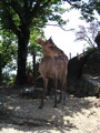IMG_1200.JPG