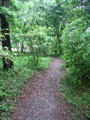 IMG_0657.JPG