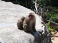 IMG_1225.JPG