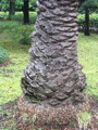 IMG_0659.JPG