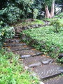 IMG_0662.JPG