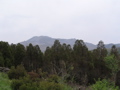 IMG_1262.JPG