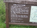 IMG_1265.JPG