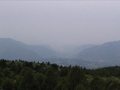 IMG_1266.JPG