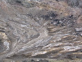 IMG_1280.JPG