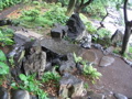 IMG_0665.JPG