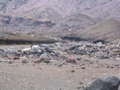 IMG_1299.JPG