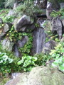 IMG_0668.JPG
