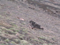 IMG_1326.JPG