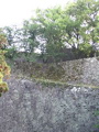 IMG_1352.JPG