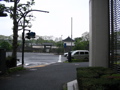 IMG_0604.JPG