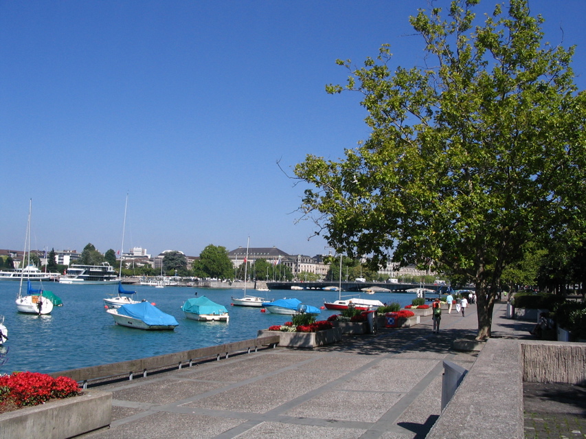 STF_1407.JPG