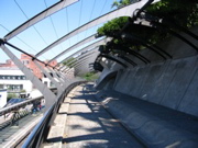 IMG_1401.JPG