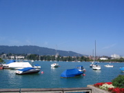 STD_1405.JPG