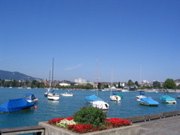 STE_1406.JPG