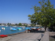 STF_1407.JPG
