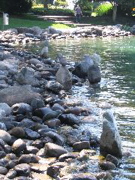 IMG_1417.JPG