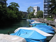IMG_1429.JPG