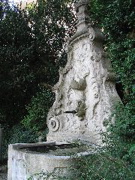 IMG_1435.JPG