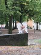 IMG_1442.JPG